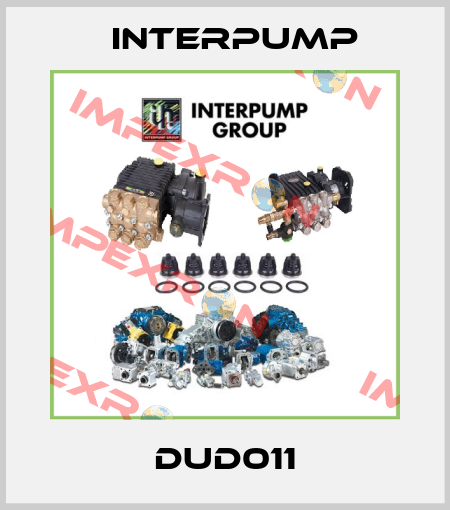 DUD011 Interpump