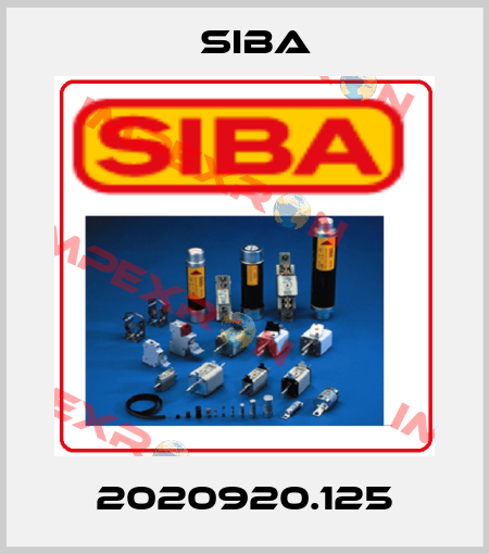 2020920.125 Siba