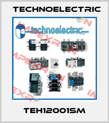 TEH12001SM Technoelectric