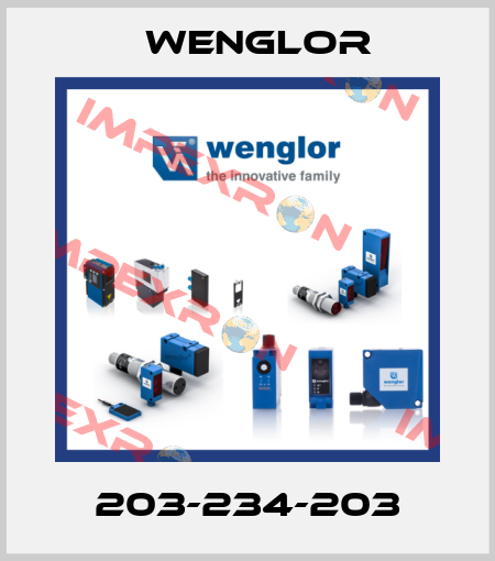 203-234-203 Wenglor