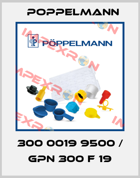 300 0019 9500 / GPN 300 F 19 Poppelmann