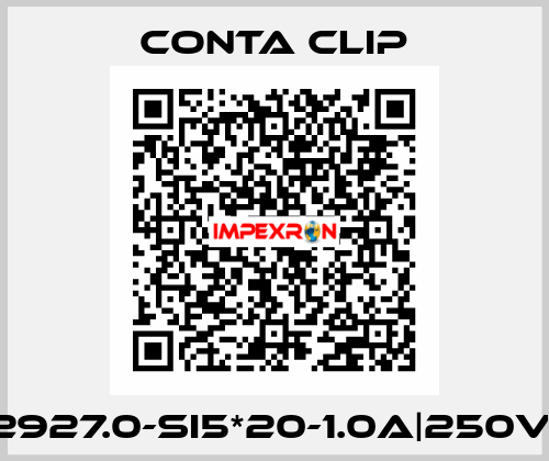 2927.0-SI5*20-1.0A|250V| Conta Clip