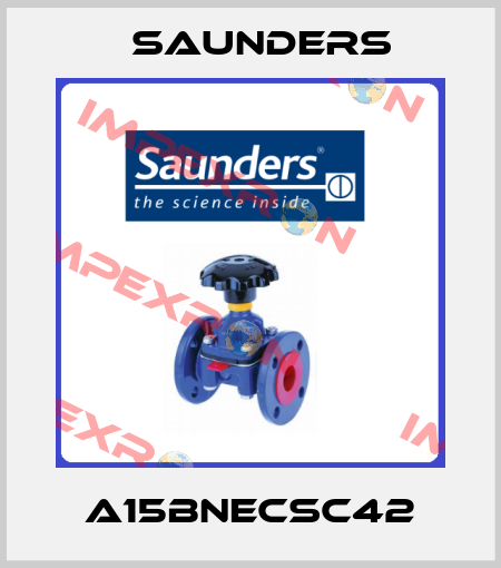 A15BNECSC42 Saunders