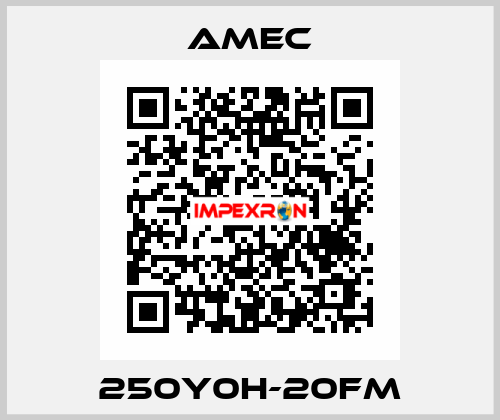 250Y0H-20FM AMEC