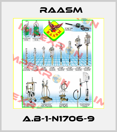 A.B-1-N1706-9 Raasm