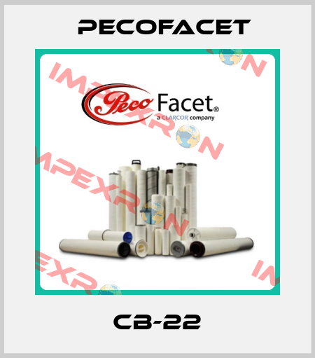 CB-22 PECOFacet