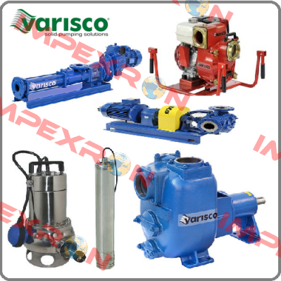 10053760 Varisco pumps