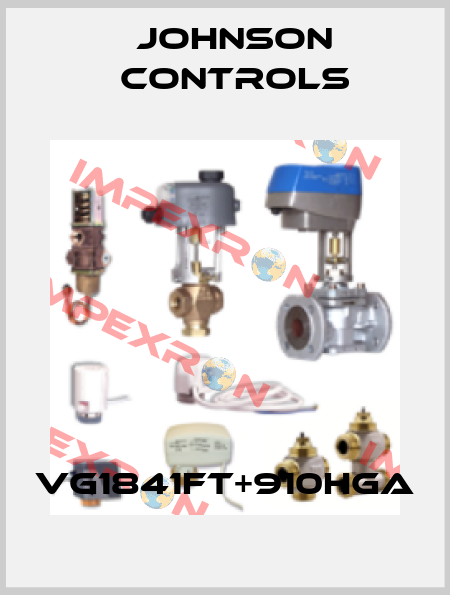 VG1841FT+910HGA Johnson Controls
