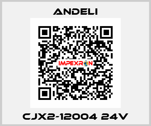 CJX2-12004 24V Andeli