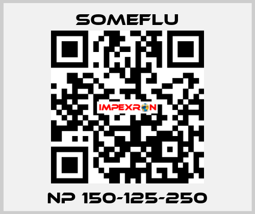 NP 150-125-250 SOMEFLU