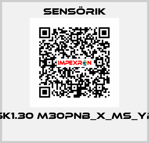 SK1.30 M30PNB_X_MS_Y2  Sensörik