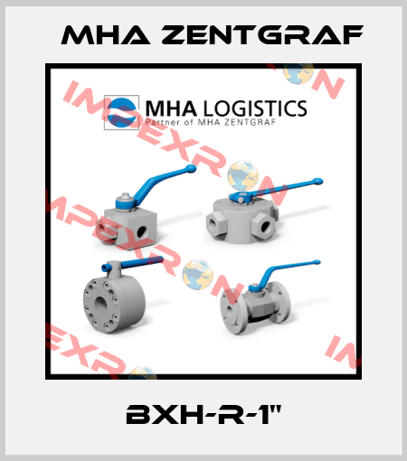 BXH-R-1" Mha Zentgraf