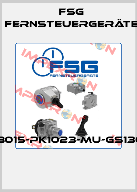 SL3015-PK1023-MU-GS130-G  FSG Fernsteuergeräte