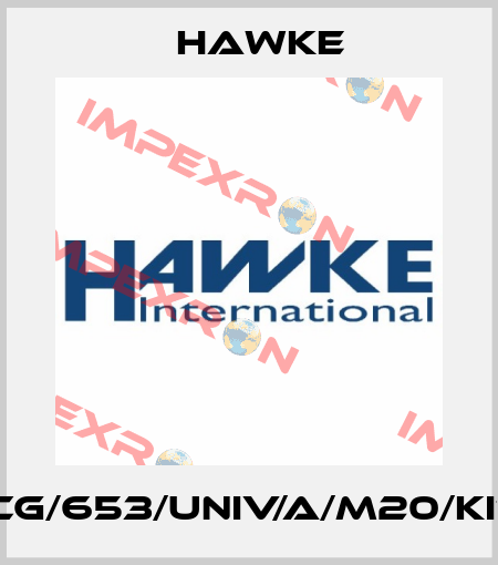 ICG/653/UNIV/A/M20/KIT Hawke