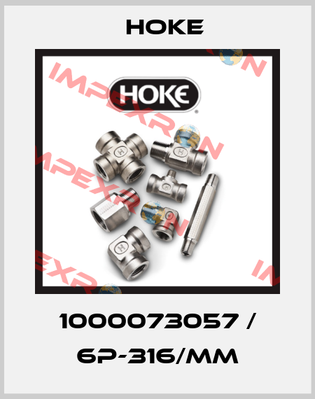1000073057 / 6P-316/MM Hoke