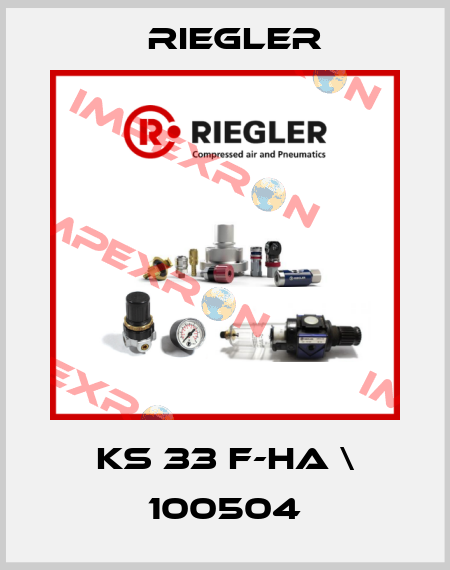 KS 33 F-HA \ 100504 Riegler