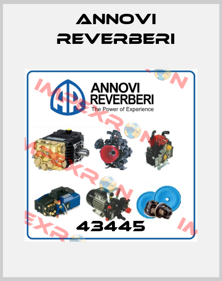 43445 Annovi Reverberi
