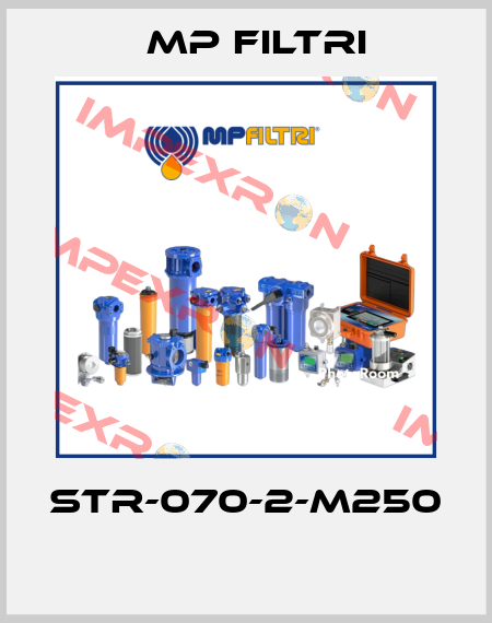 STR-070-2-M250  MP Filtri