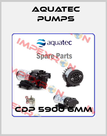 CDP 5900 6mm Aquatec Pumps