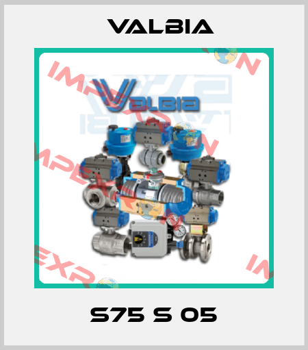 S75 S 05 Valbia