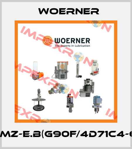 GMZ-E.B(G90F/4D71C4-6) Woerner