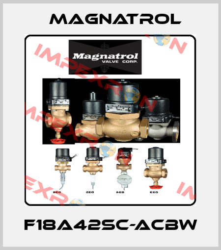 F18A42SC-ACBW Magnatrol