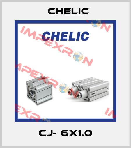 CJ- 6x1.0 Chelic