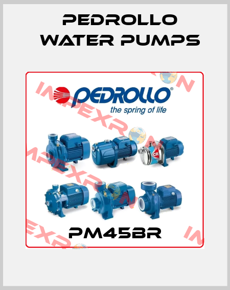 PM45BR Pedrollo Water Pumps