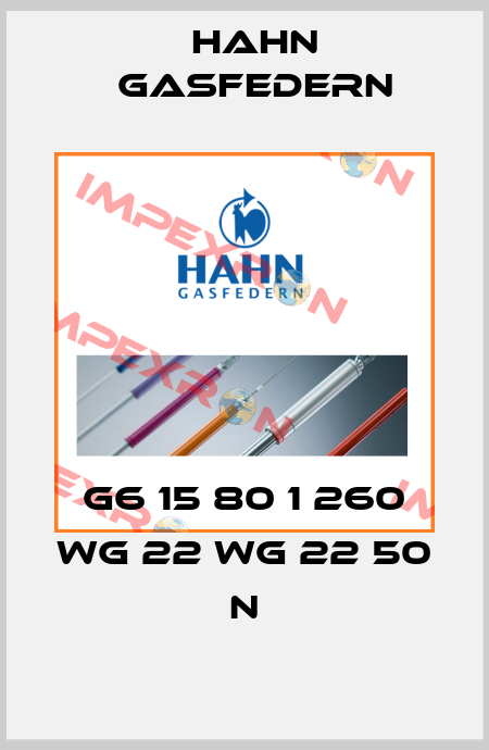 G6 15 80 1 260 WG 22 WG 22 50 N Hahn Gasfedern