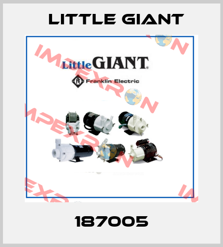 187005 Little Giant