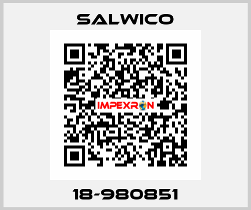 18-980851 Salwico