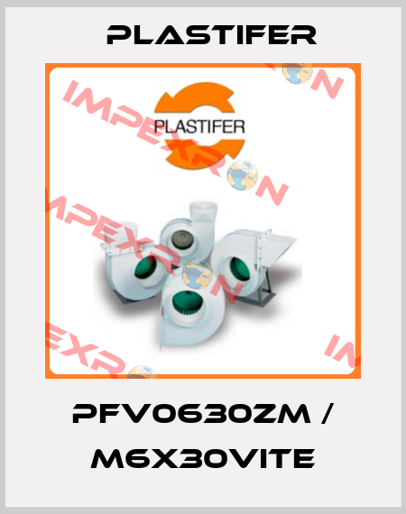 PFV0630ZM / M6x30VITE Plastifer
