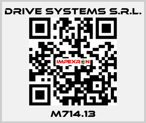 M714.13 DRIVE SYSTEMS s.r.l.