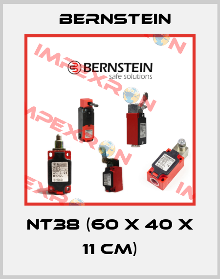 NT38 (60 x 40 x 11 cm) Bernstein