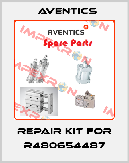 REPAIR KIT for R480654487 Aventics