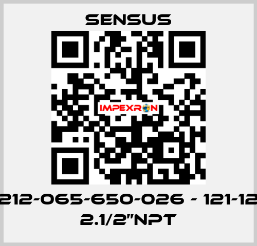 212-065-650-026 - 121-12 2.1/2”NPT Sensus