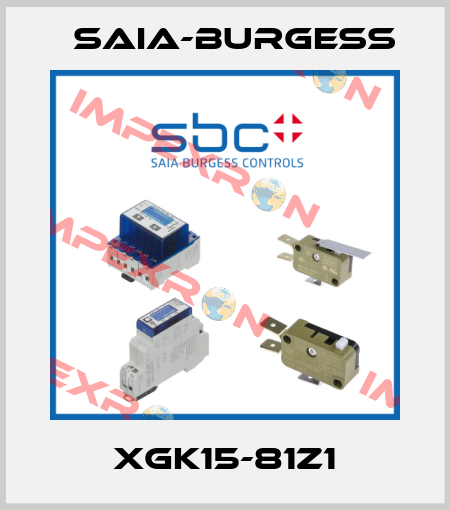 XGK15-81Z1 Saia-Burgess