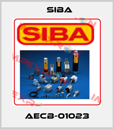 AECB-01023 Siba