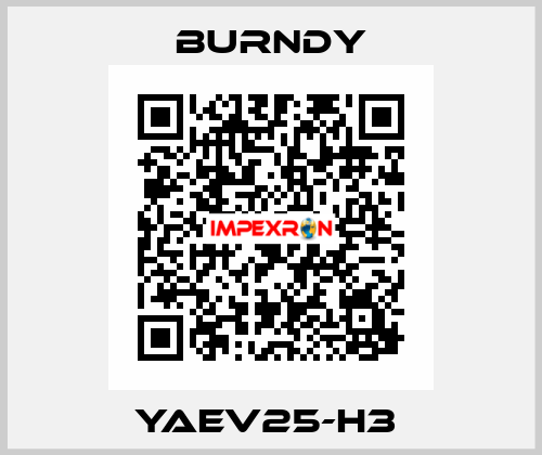 YAEV25-H3  Burndy