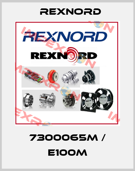 7300065M / E100M Rexnord