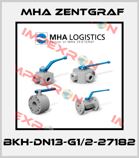 BKH-DN13-G1/2-27182 Mha Zentgraf
