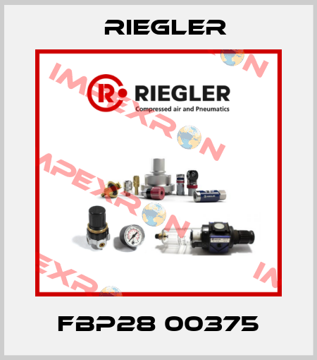 FBP28 00375 Riegler