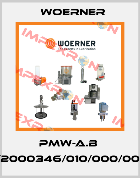 PMW-A.B  /2000346/010/000/001 Woerner