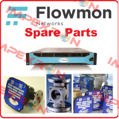 FMM-10-SS-LP-3EE/ATEX2/5CP-8F150-S3 Flow-Mon