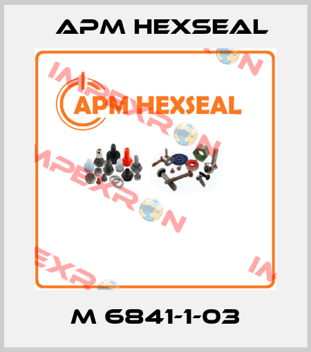 M 6841-1-03 APM Hexseal