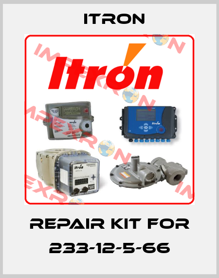 repair kit for 233-12-5-66 Itron