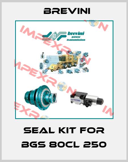 seal kit for BGS 80CL 250 Brevini