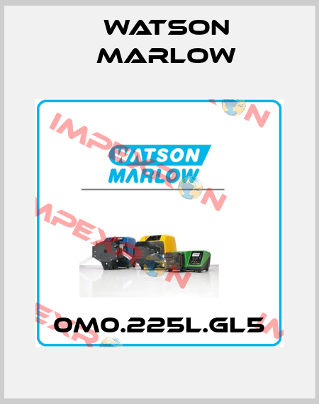 0M0.225L.GL5 Watson Marlow