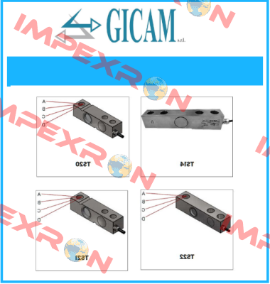 C-TS5-1000K Gicam