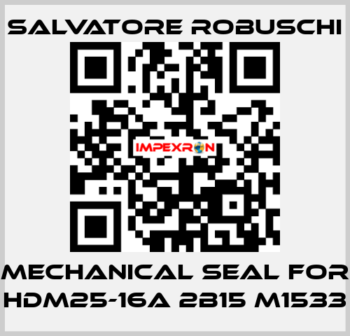 mechanical seal for HDM25-16A 2B15 M1533 SALVATORE ROBUSCHI